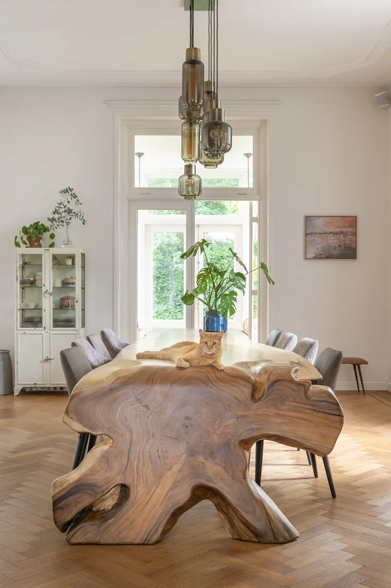 Een stijlvolle eetkamer waarin een robuuste boomstam tafel van zwaartafelen staat met een relaxte kat